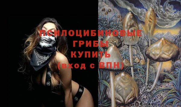 apvp Алексеевка