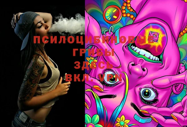 apvp Алексеевка