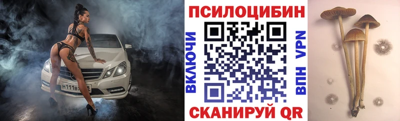 площадка официальный сайт  Прохладный  Псилоцибиновые грибы мицелий  что такое   MEGA зеркало 