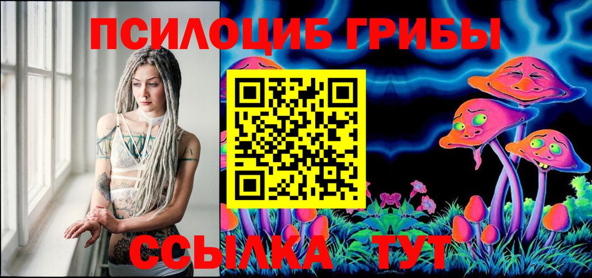 Псилоцибиновые грибы прущие грибы  Вход с VPN  Прохладный 