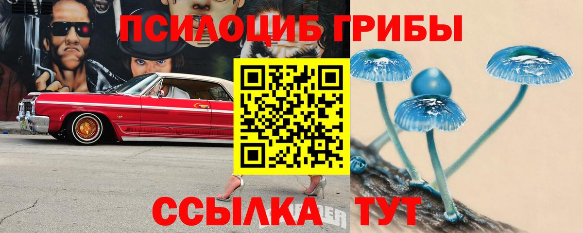 Псилоцибиновые грибы Psilocybine cubensis Прохладный